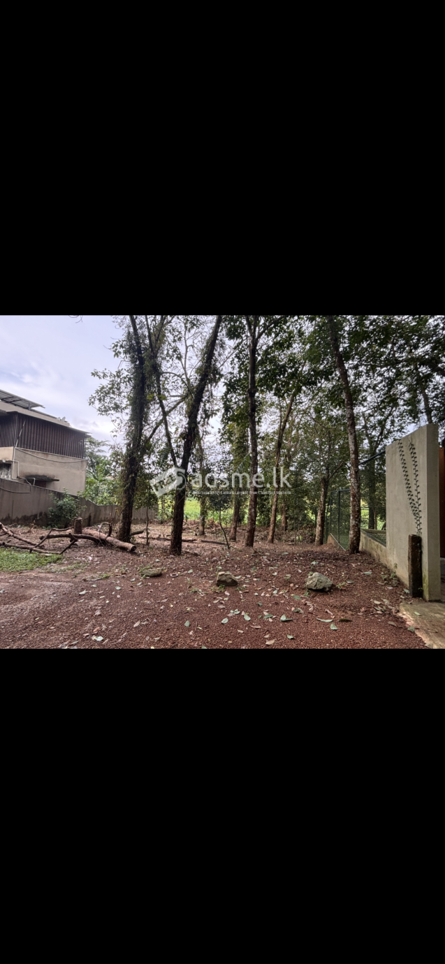 Land in Kalalgoda, Thalawathugoda