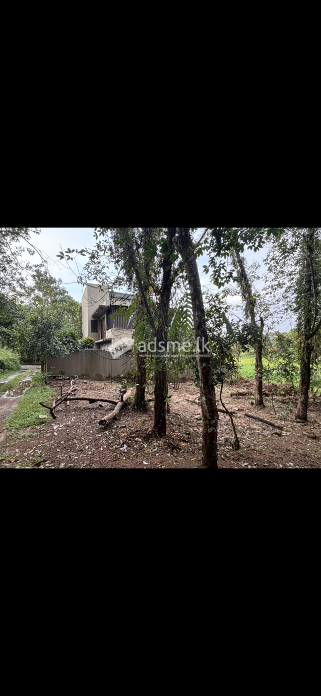 Land in Kalalgoda, Thalawathugoda