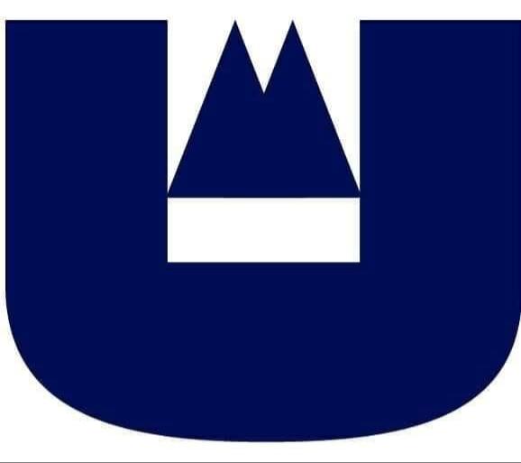 senior underwriter