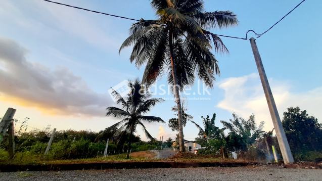 Land for sale in Panagoda