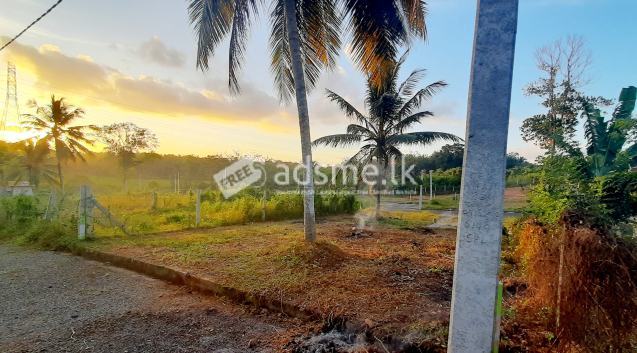 Land for sale in Panagoda