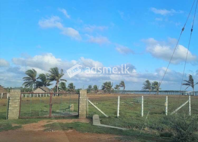 Prime Lagoon front 480 Perches Land for Sale in Serakuliya.