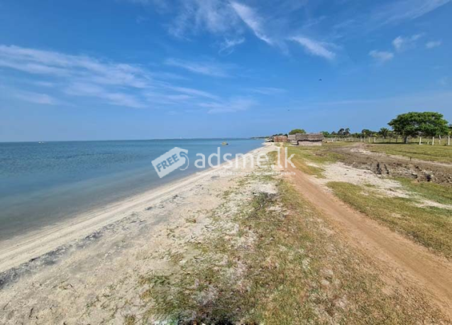Prime Lagoon front 480 Perches Land for Sale in Serakuliya.