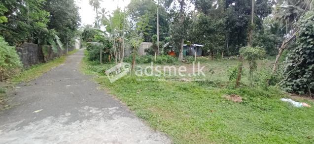 Land for Sale in Homagama