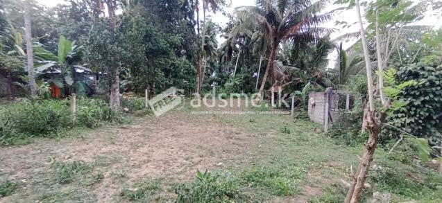 Land for Sale in Homagama