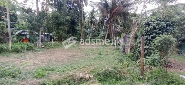 Land for Sale in Homagama