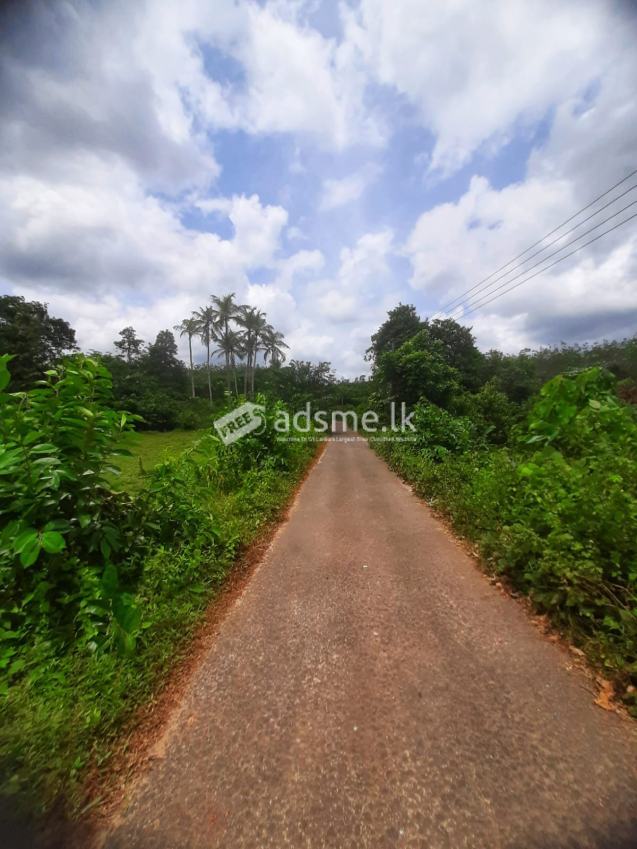 45 Perches Residential Land for Sale in Horana