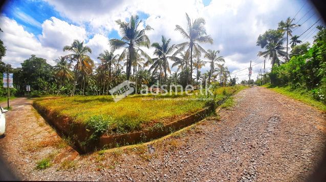 6.5P Land For Sale In Pitipana (Near NSBM)