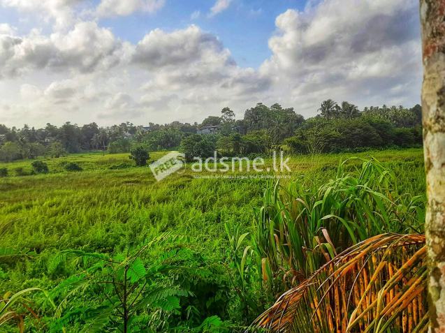 80 perches agricultural land for rent in Mattegoda