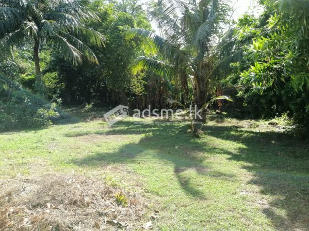 100 Perch Land for Sale in Wadduwa Facing Galle Road