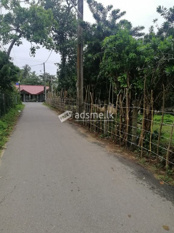 100 Perch Land for Sale in Wadduwa Facing Galle Road