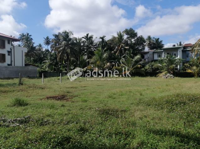 11P /14 Perches Land for sale in Welisara / Mahabage