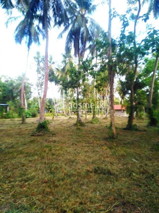 Land For Sale In MARAWILA