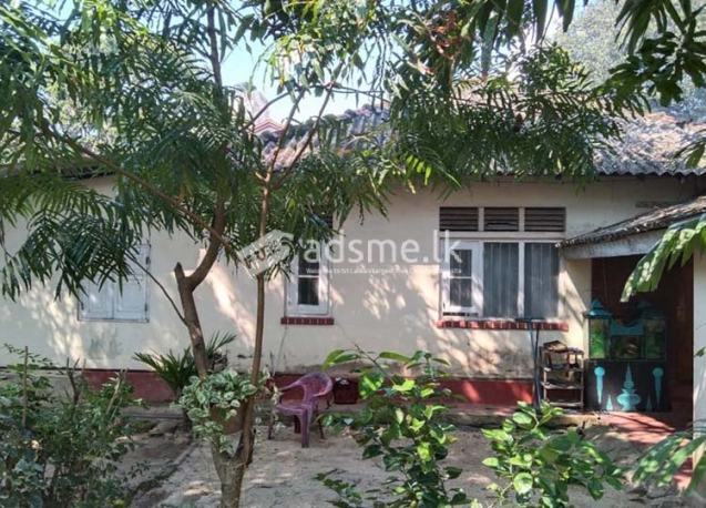 Residential cum Commercial Property for Sale at Hendala, Wattala.