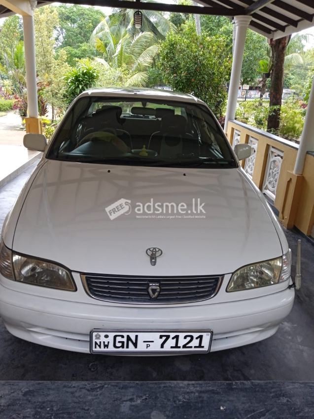 Toyota Corolla 1998 (Used)
