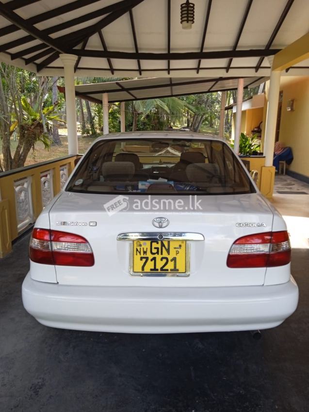 Toyota Corolla 1998 (Used)