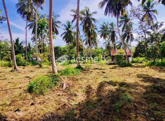 Residential , Commercial or Agricultural Land for Sale at Marawila.