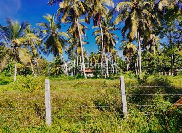 Residential , Commercial or Agricultural Land for Sale at Marawila.
