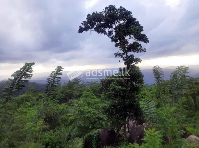 Bulathkohupitiya 5 Acres of Beautiful Landscaped Land with beautiful waterfalls for Sale.