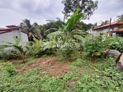 Land for Sale in Kalutara Town