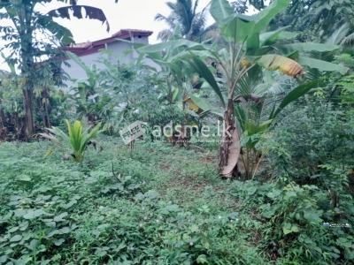 Land for Sale in Kalutara Town