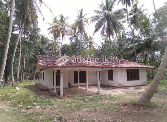 Highly Residential Cum Commercial Land for Sale in Gaiyala Junction, Kuliyapitiya