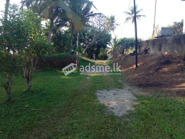 Land With House For Rent