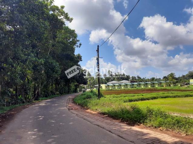 Land blocks for Sale in Mahajana Mw, Belummahara, Gampaha.