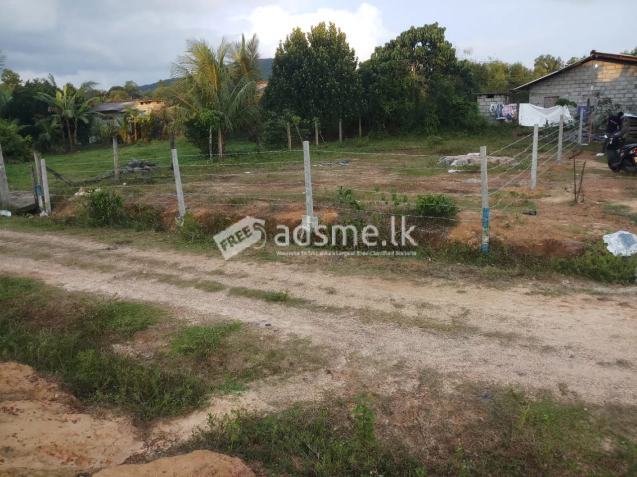 Land for sale