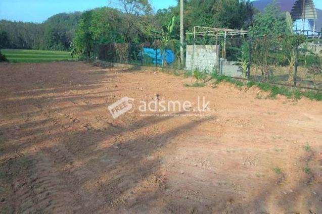 65 Perches Rectangular Shaped Solid Land for Sale at Hanwella.