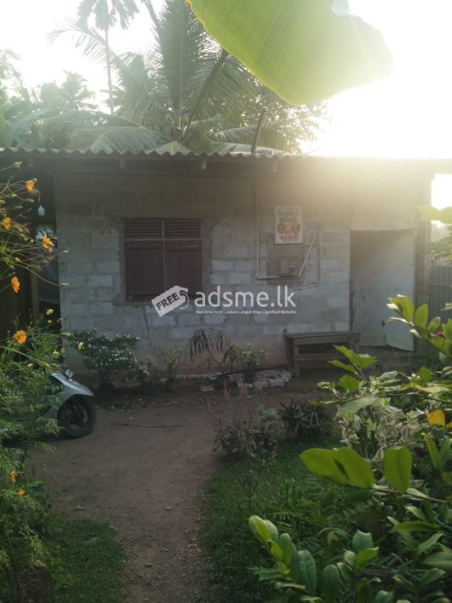 House For Sale