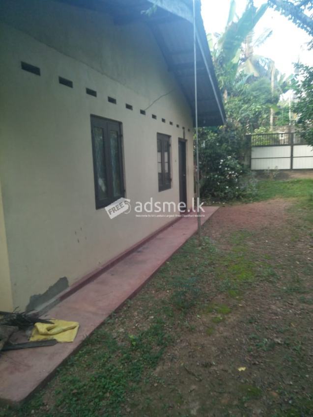 House For Sale