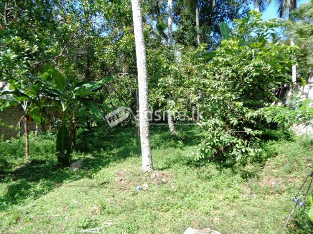 land for sale in Yakkala (in kirindiwela road)
