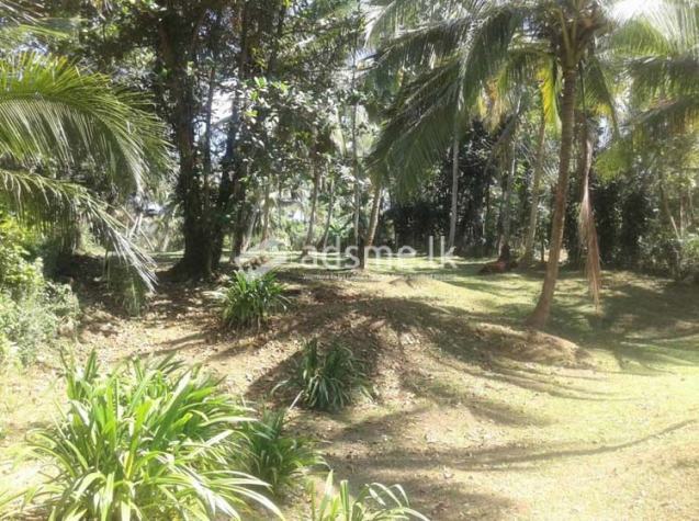 A Valuable Land adjoining Ma-Oya with a beautiful Bungalow for sale at Polgahawela.
