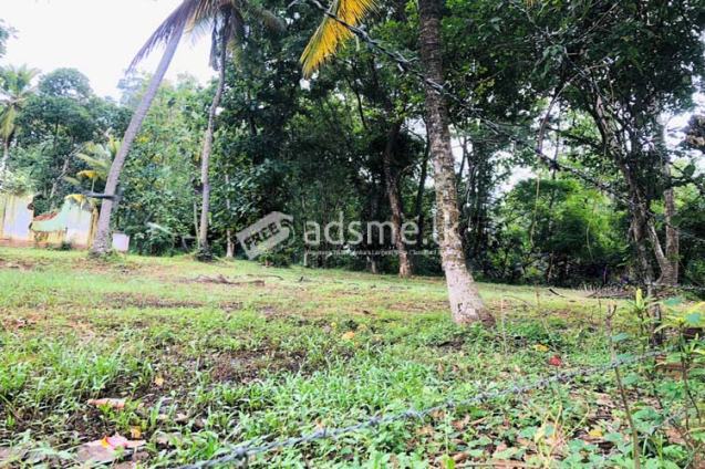 94 Perches Land for Sale at Pothuhera, Kurunegala.