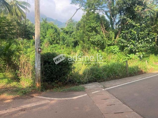 19 Perches of bare Land for Sale in Naula, Matale.