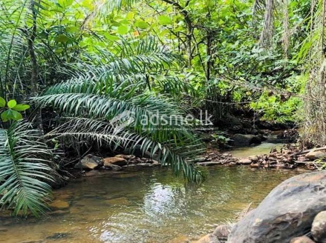 06 Acres of Land for Sale at Avissawella, Near the Kumari ella.