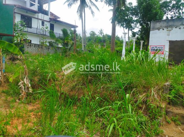Land For Sale