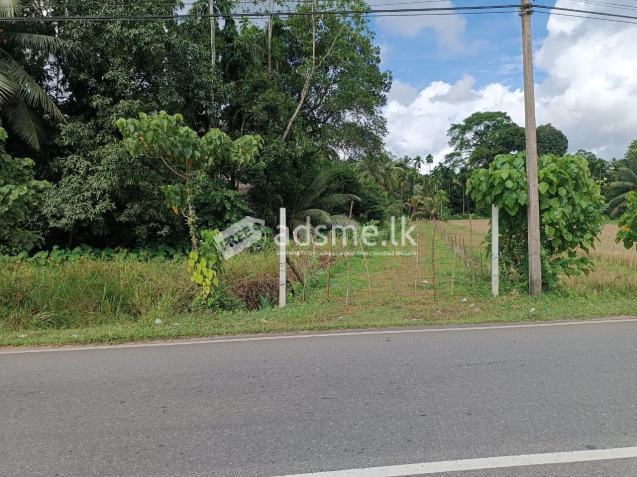 Land For Sale In Poruwadanda