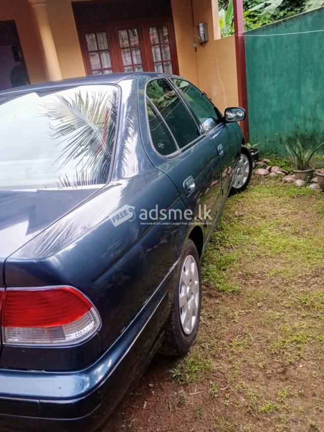 Nissan Sunny 1999 (Used)