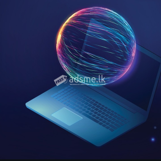 Professional Web development services