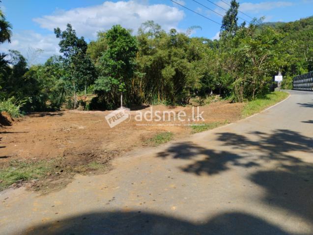 නිවාස හෝටල් හෝ ආපනශාලා සඳහා වටිනා ඉඩමක්.