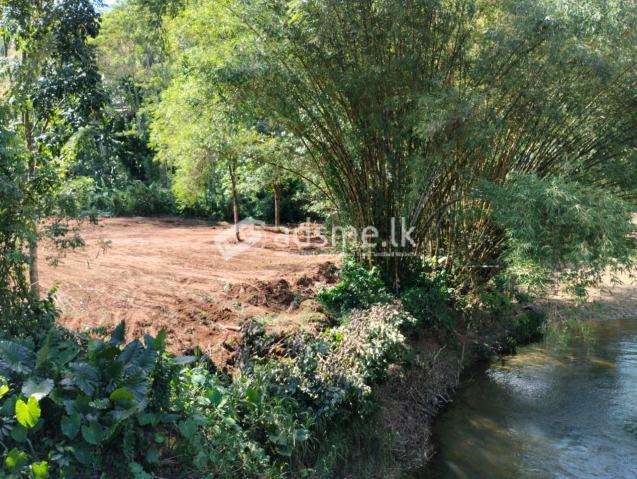 නිවාස හෝටල් හෝ ආපනශාලා සඳහා වටිනා ඉඩමක්.