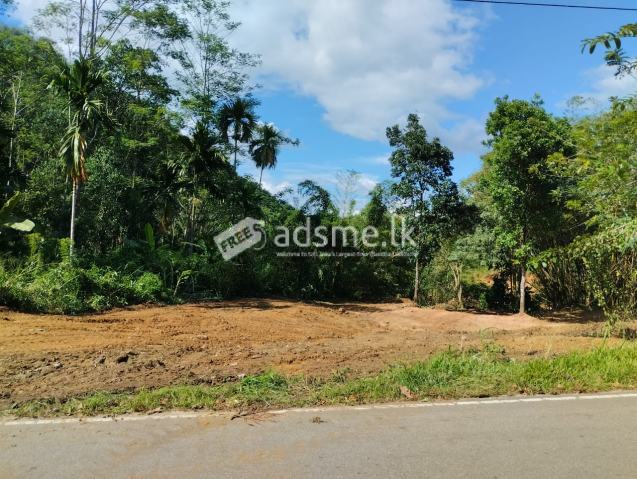 නිවාස හෝටල් හෝ ආපනශාලා සඳහා වටිනා ඉඩමක්.