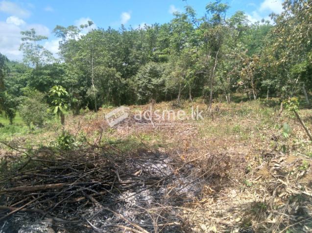 Land For sale in Horana