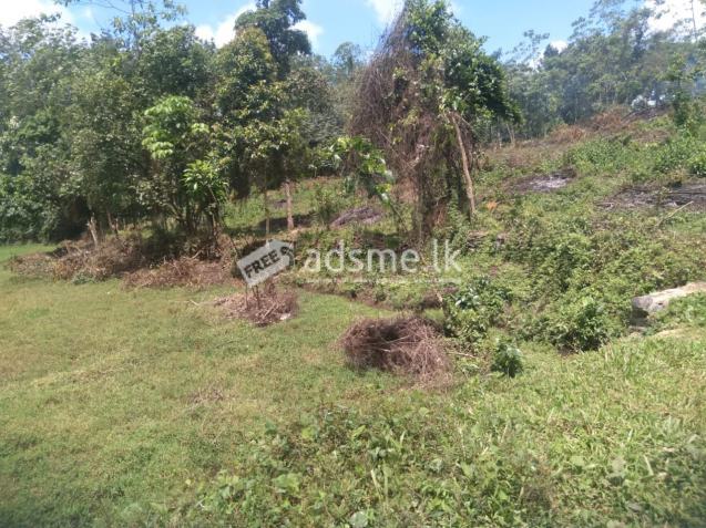 Land For sale in Horana