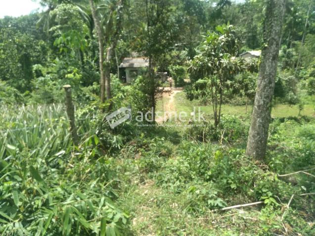 Land For sale in Horana