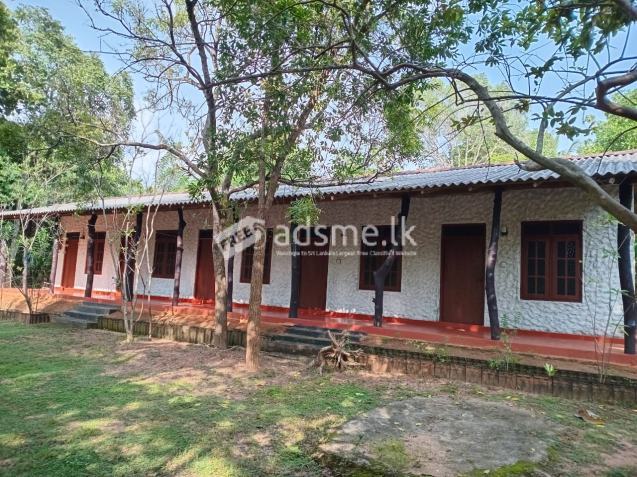 Dambulla hotel sale