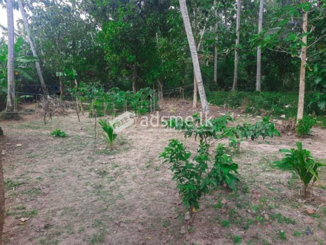 Good residential land for urgent sale in Katana, Negombo.