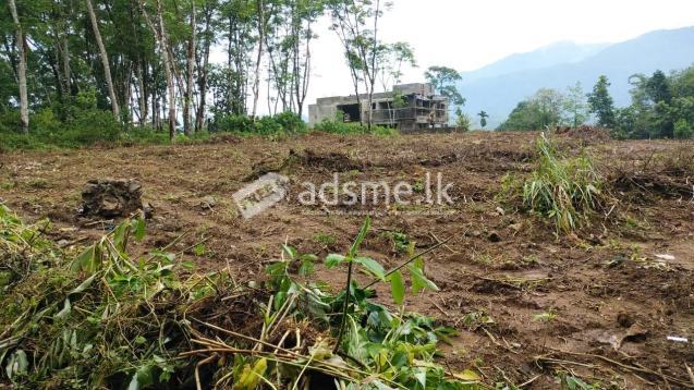 Land For Sale In Horana